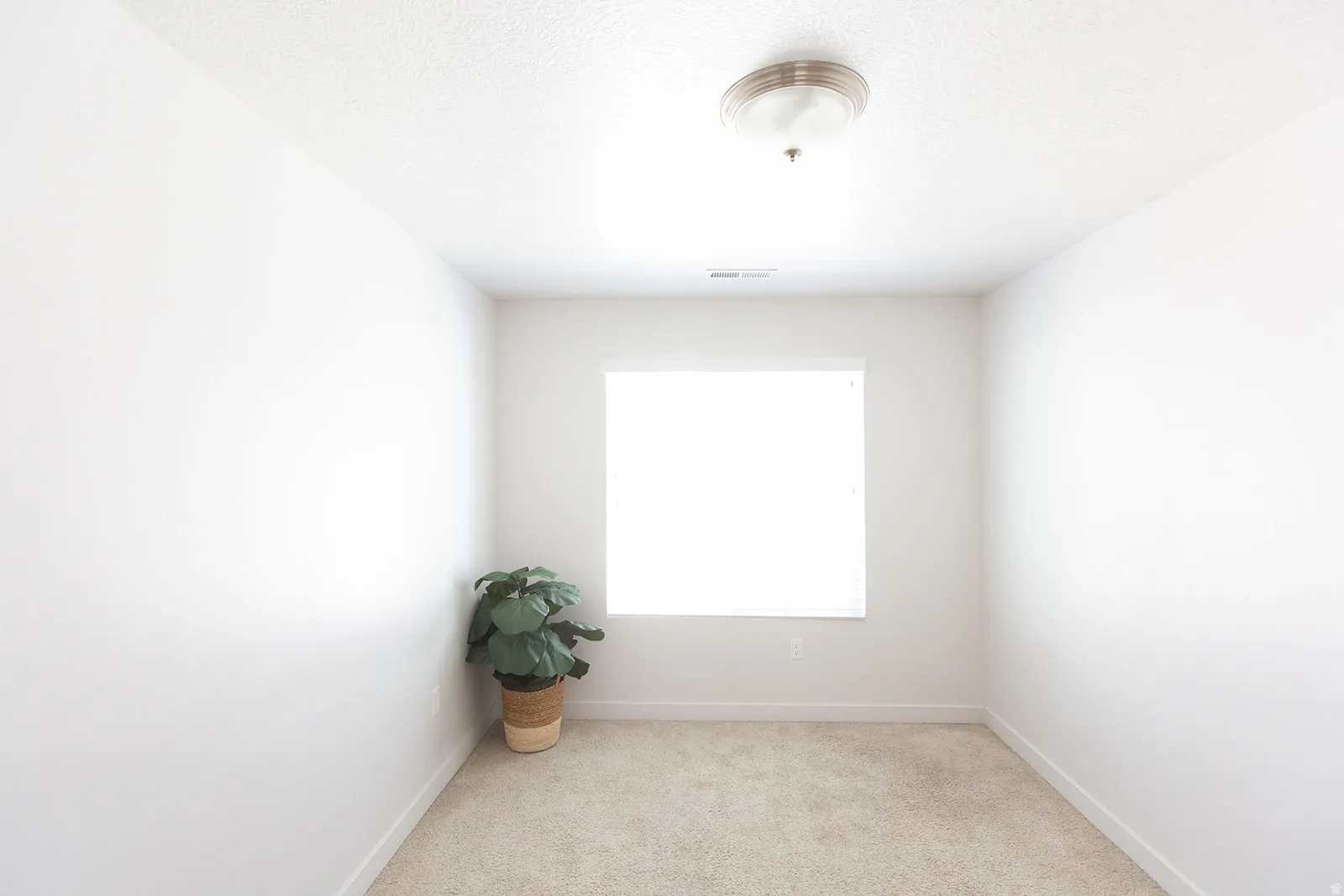 Bright room with neutral carpeting, a single window with blinds, and white walls