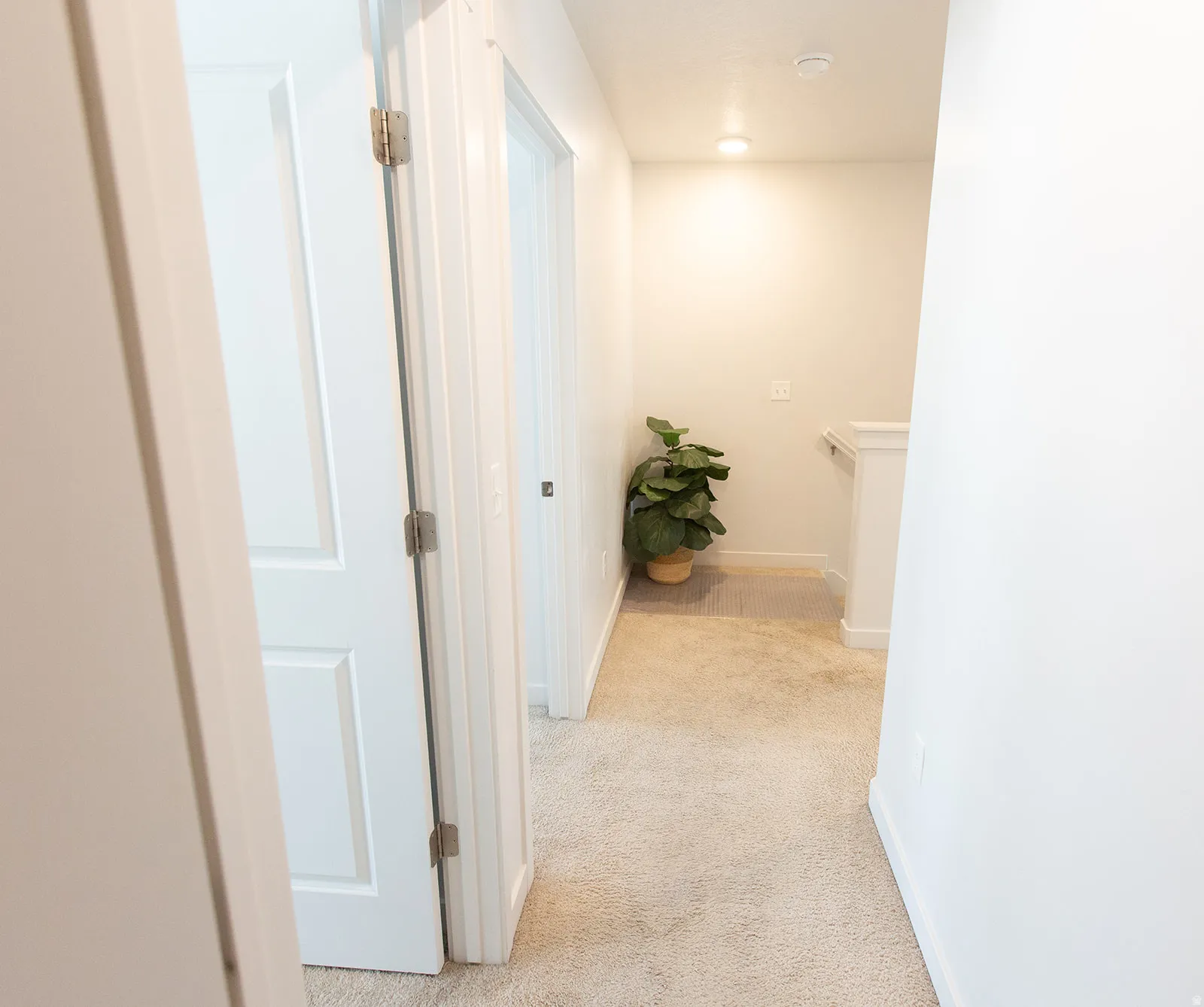 Plush, neutral-toned carpet throughout the hallway, featuring white paneled doors with brushed nickel hardware and recessed ceiling lighting