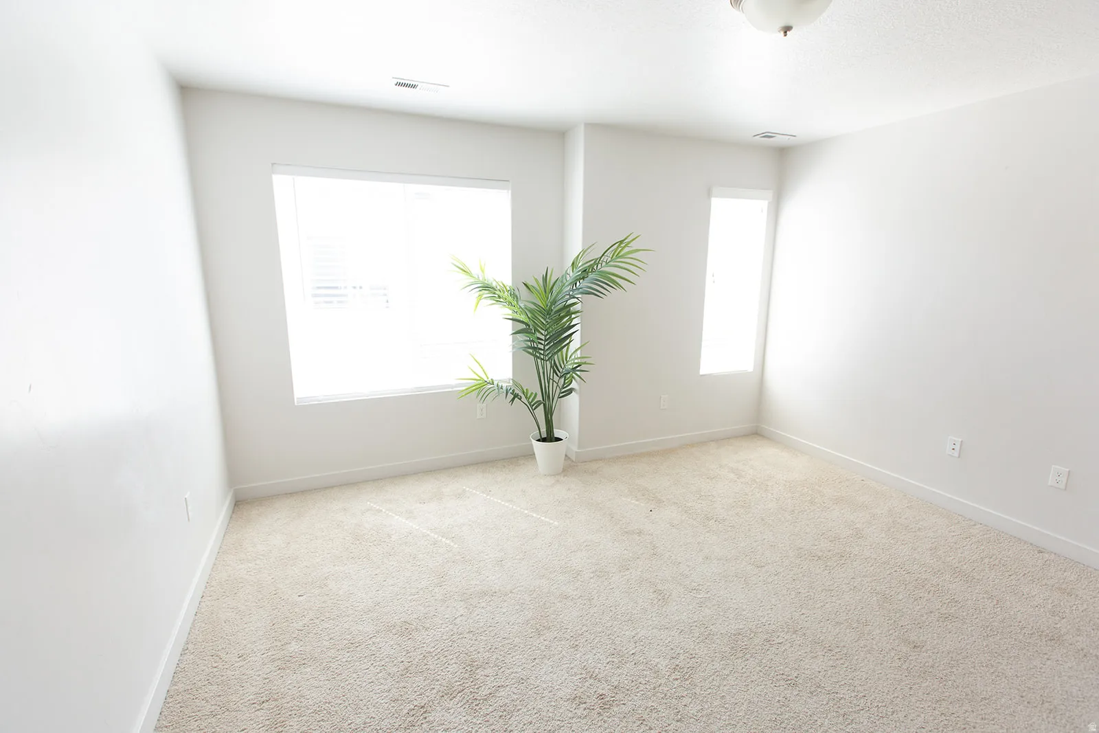 Bright room featuring light-toned carpeting and neutral wall finishes