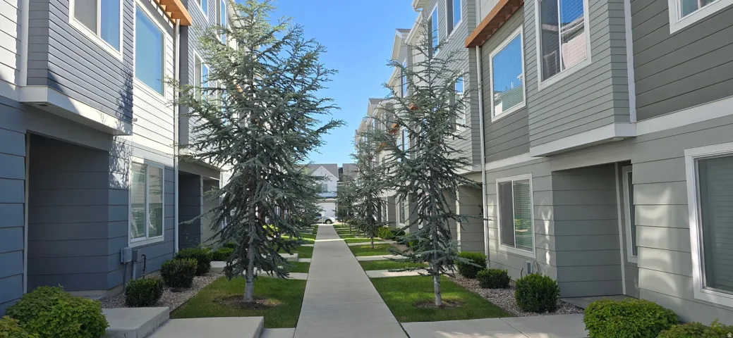 Modern townhome-style residences featuring multi-toned siding, prominent window placements, and mature evergreen plantings