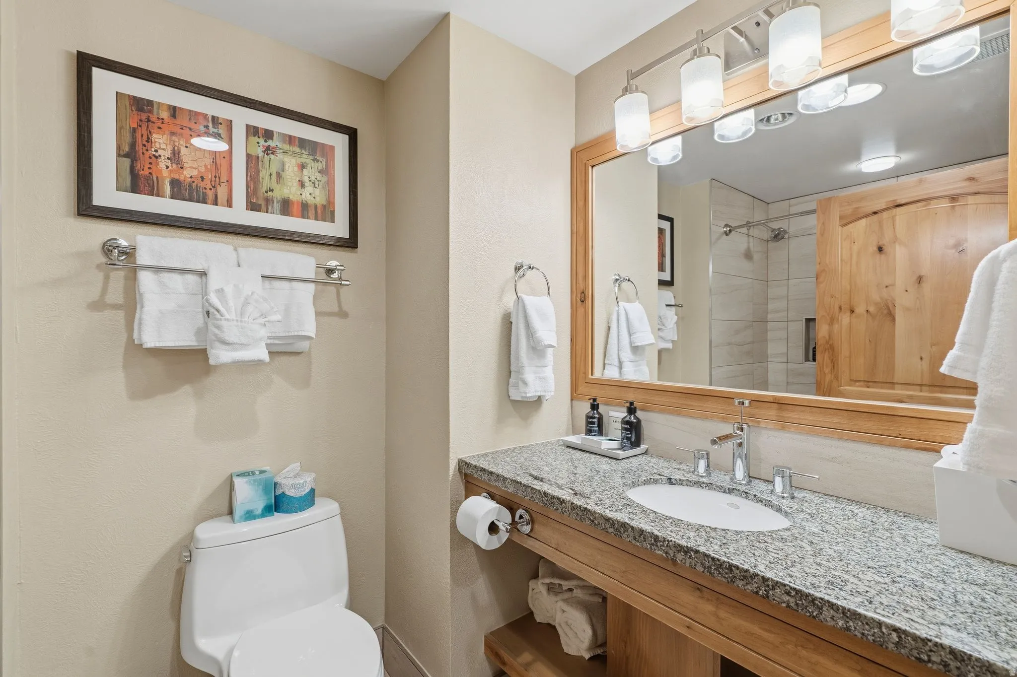Bathroom featuring a granite countertop vanity with an undermount sink, a wood-framed mirror, and a multi-bulb light fixture
