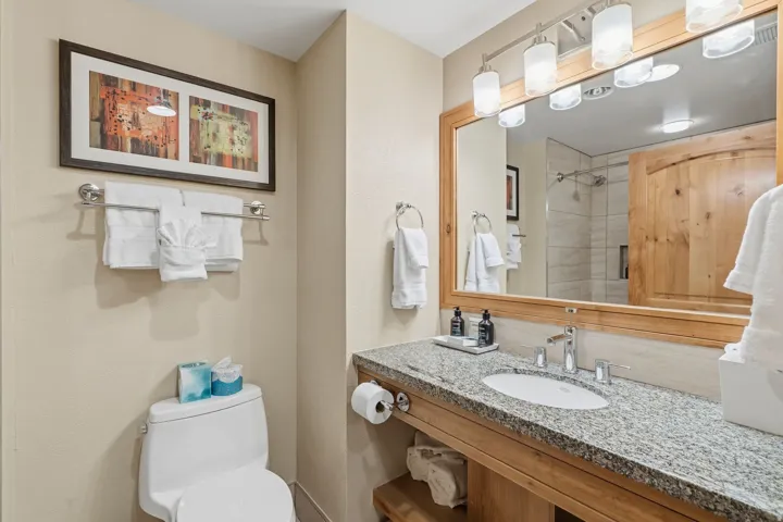 Bathroom featuring a granite countertop vanity with an undermount sink, a wood-framed mirror, and a multi-bulb light fixture