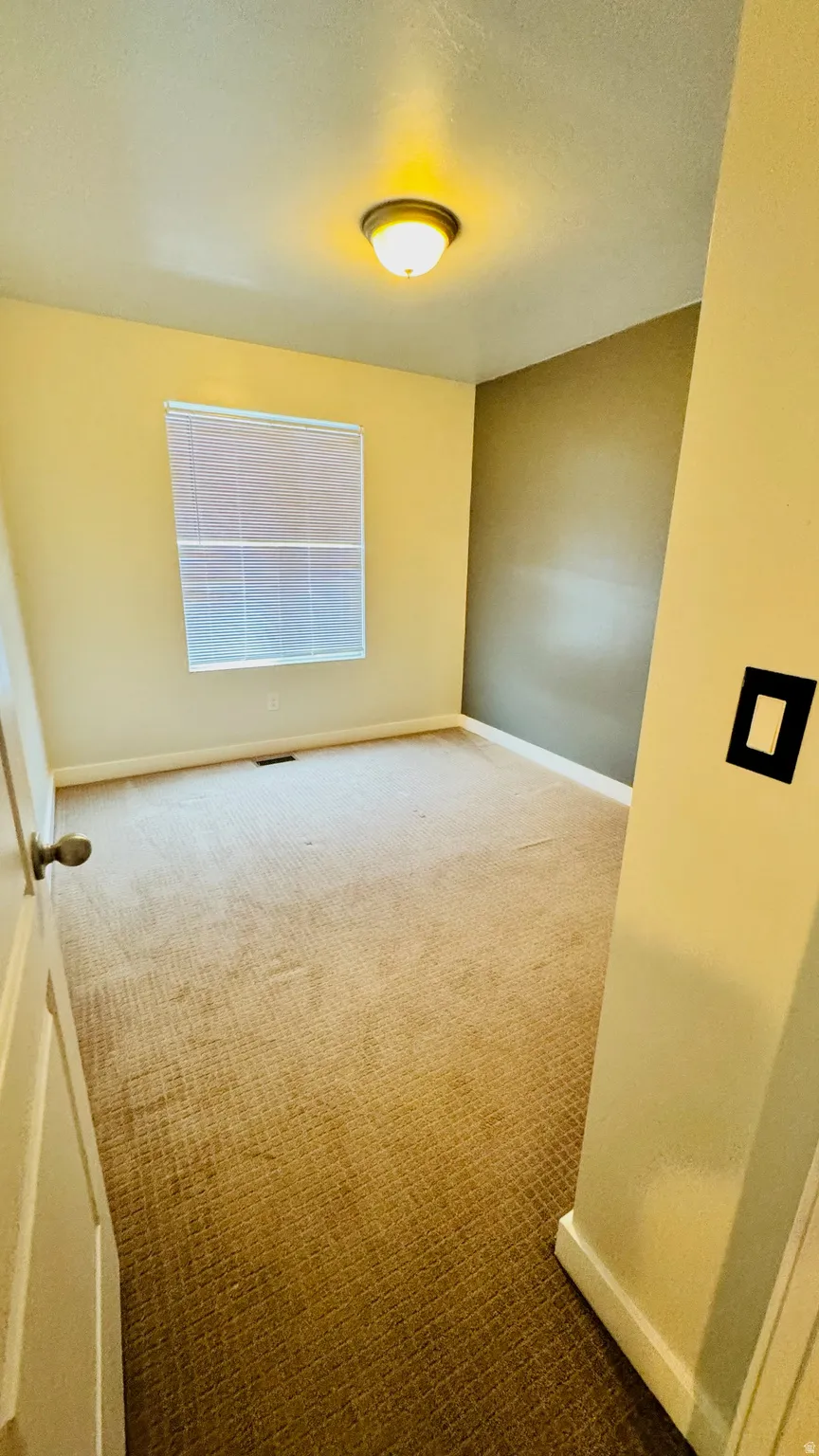 Room featuring light-toned carpeting and a contrasting accent wall