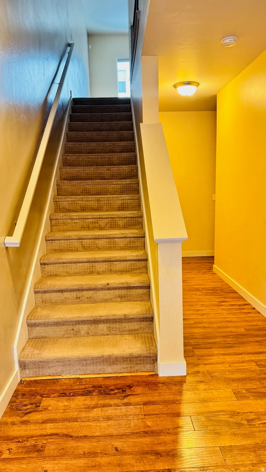 Carpeted staircase with contrasting handrail and white newel post
