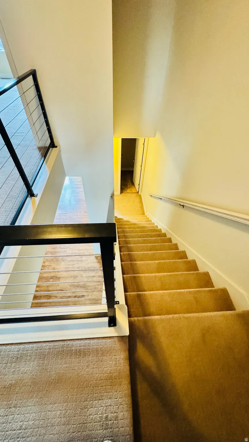 Carpeted staircase with white risers and a contrasting black and silver cable railing