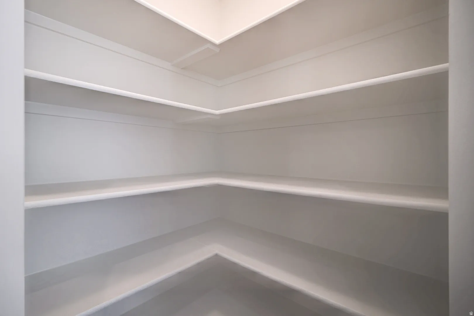 Walk-in pantry featuring multiple levels of built-in shelving, white painted finishes, and corner storage