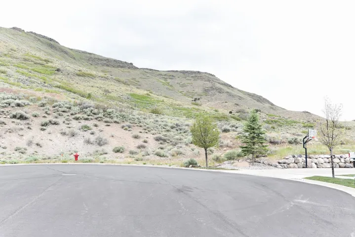 Paved road with a basketball hoop on a concrete pad, bordered by natural landscaping and mature trees