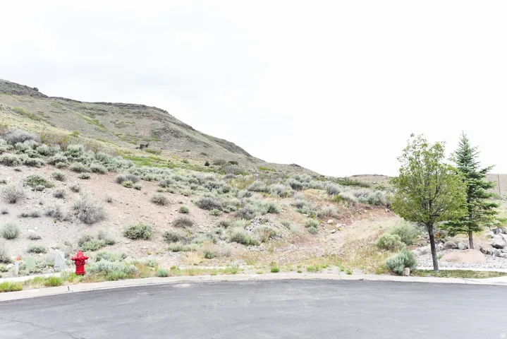 Natural hillside setting featuring varied terrain, scattered sagebrush, and a paved road frontage
