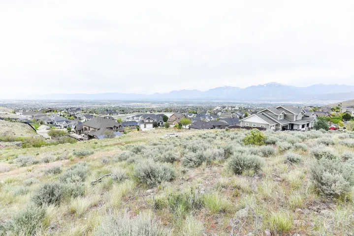 Expansive landscape featuring natural shrubbery and distant residential properties