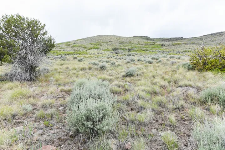 Expansive natural landscape featuring varied terrain and established shrubbery