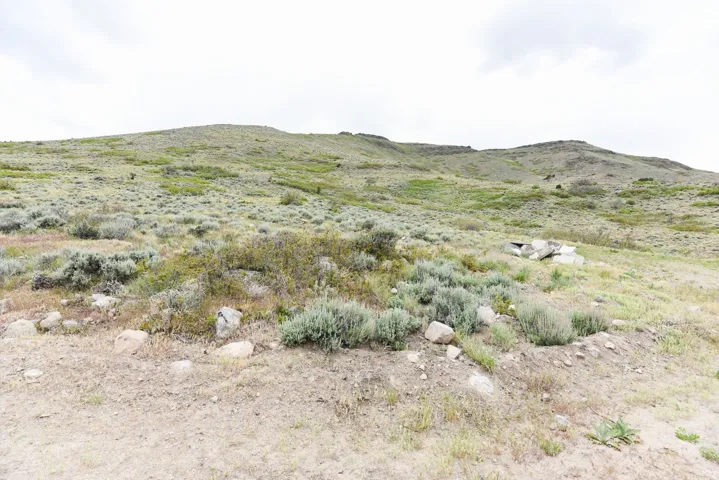 Expansive natural landscape featuring rolling hills, varied ground cover, and scattered rock formations