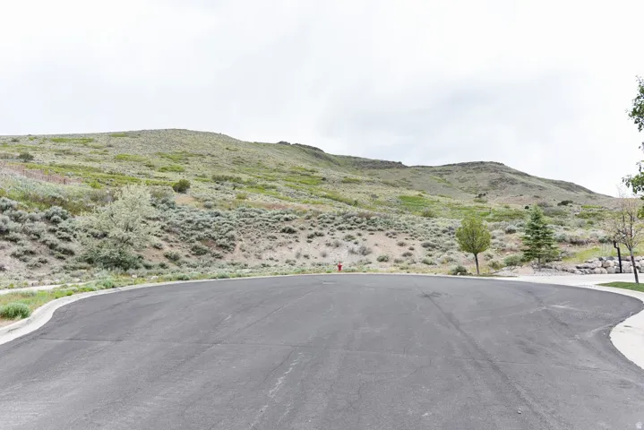 Paved street with concrete curb and gutter, bordered by natural landscaping and hillside terrain