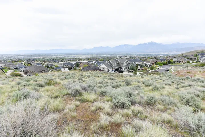 Elevated property with natural, arid landscaping and distant mountain backdrop