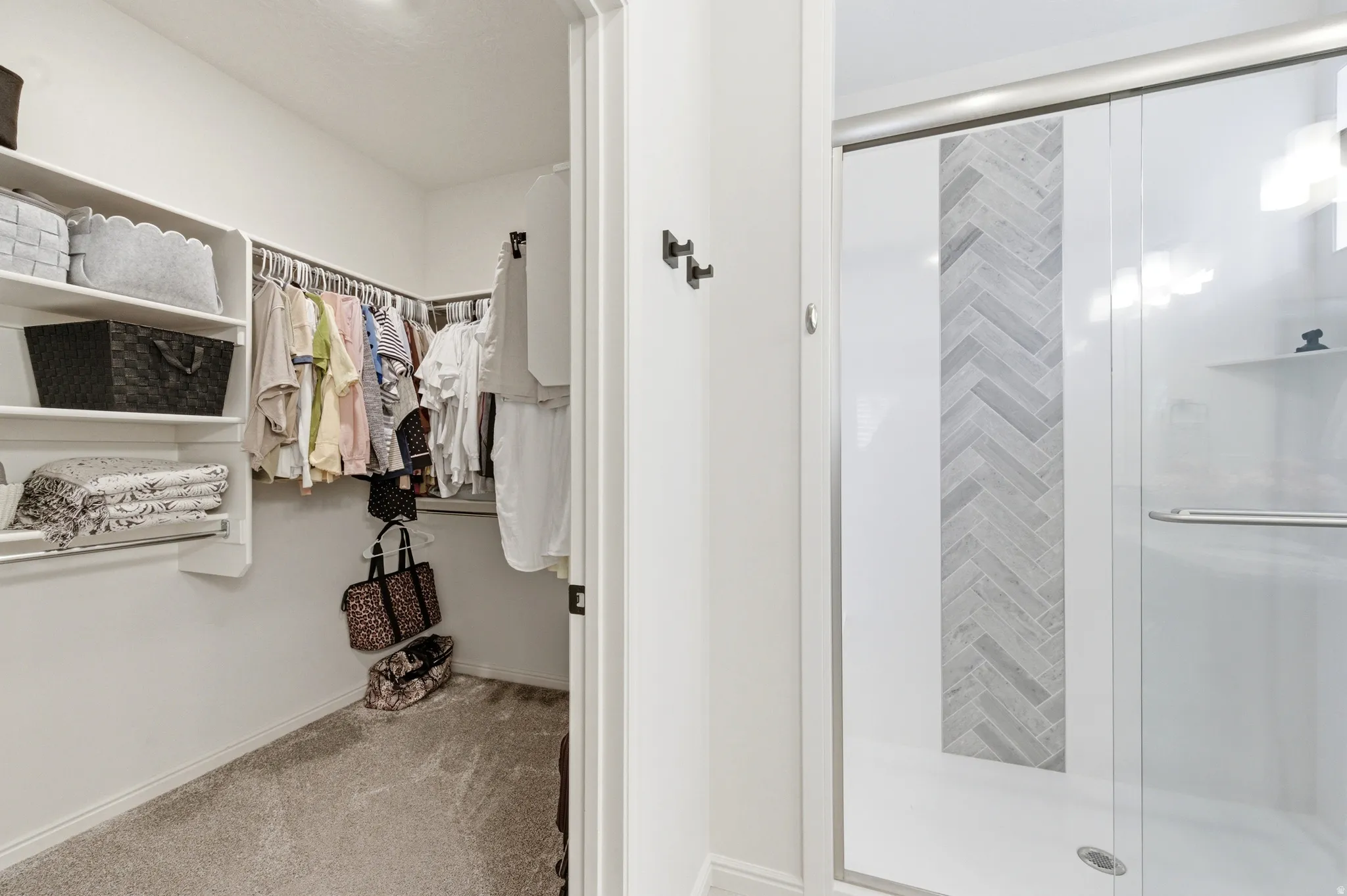 Walk-in closet with carpet flooring and integrated shelving