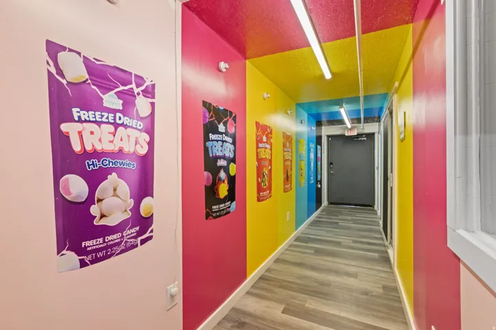 Hallway featuring multicolored walls and ceiling, wood-finish flooring, and overhead strip lighting