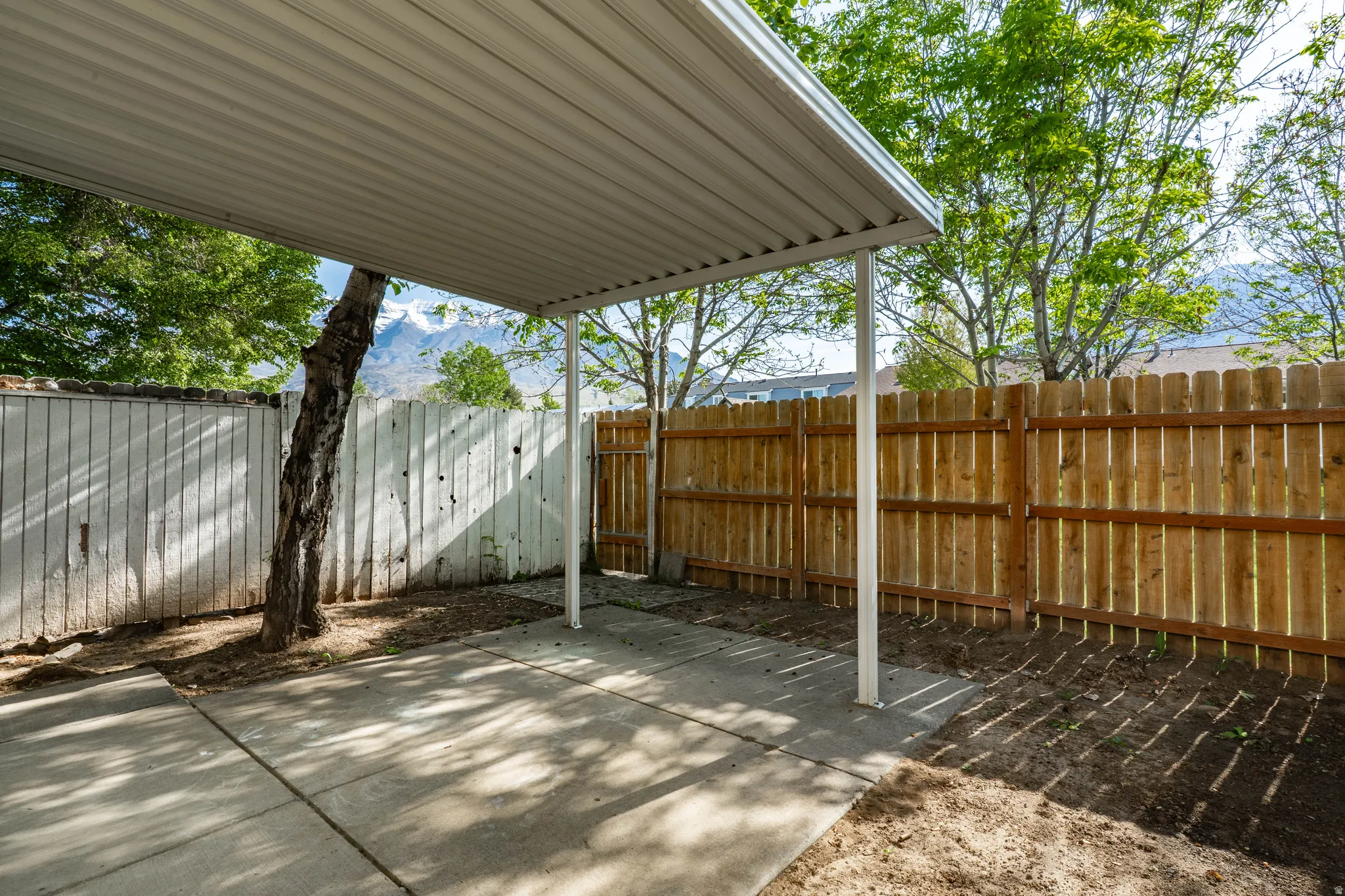 Covered patio area with a concrete slab, framed by a wooden privacy fence, and featuring a mature tree