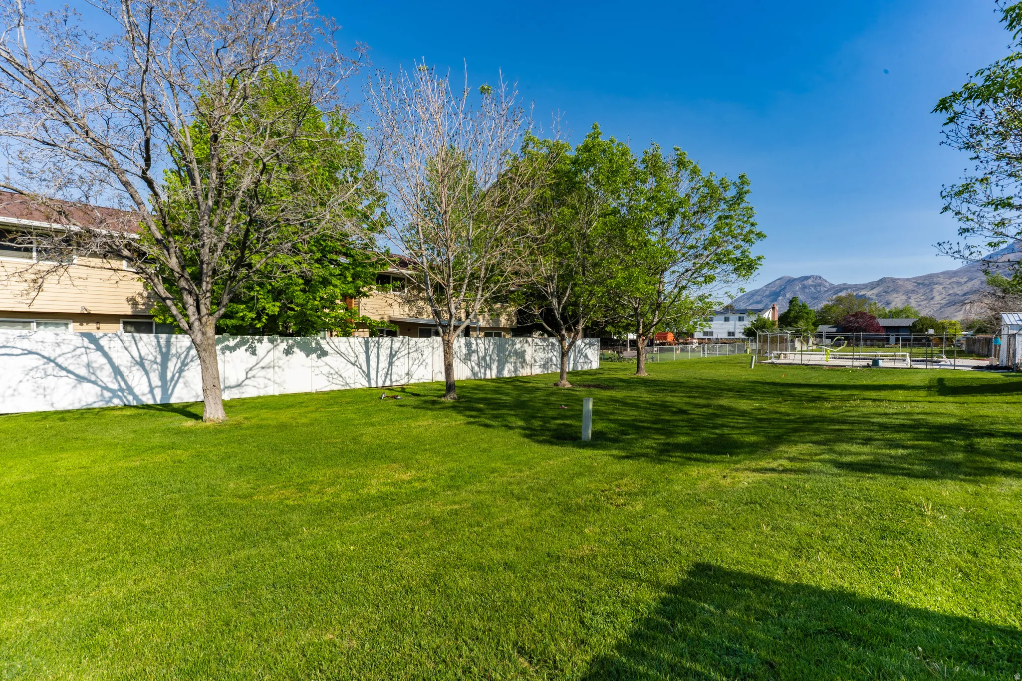 Expansive green lawn area featuring mature trees and a white privacy fence