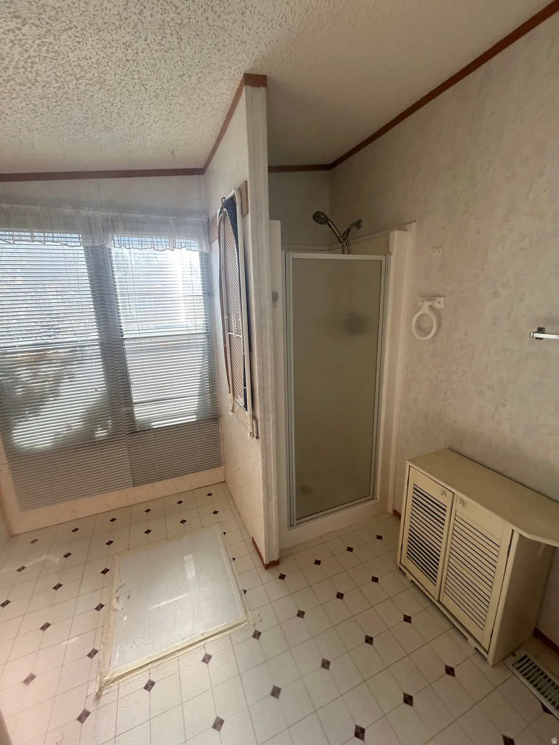 Primary Shower