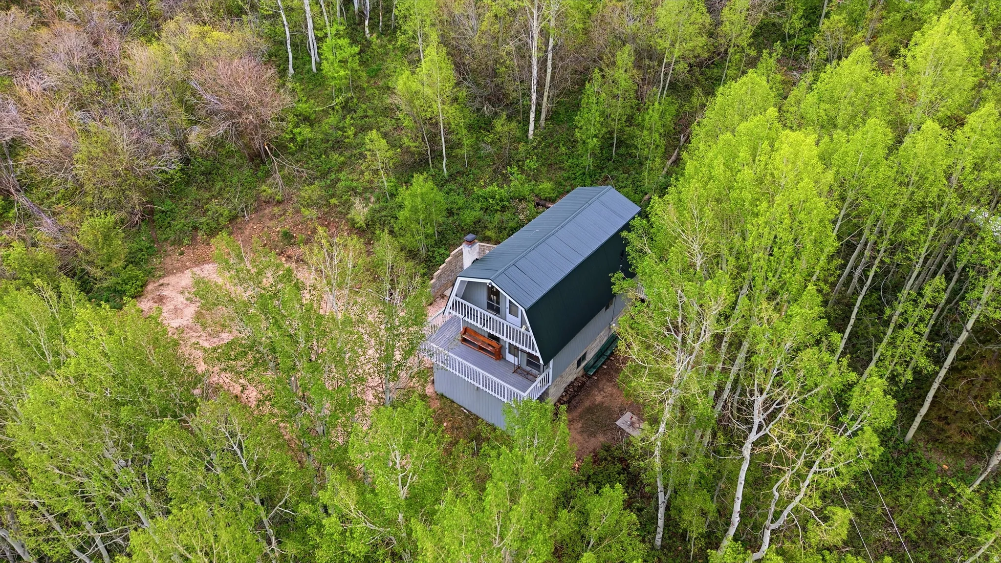 A-frame style residence surrounded by mature deciduous trees