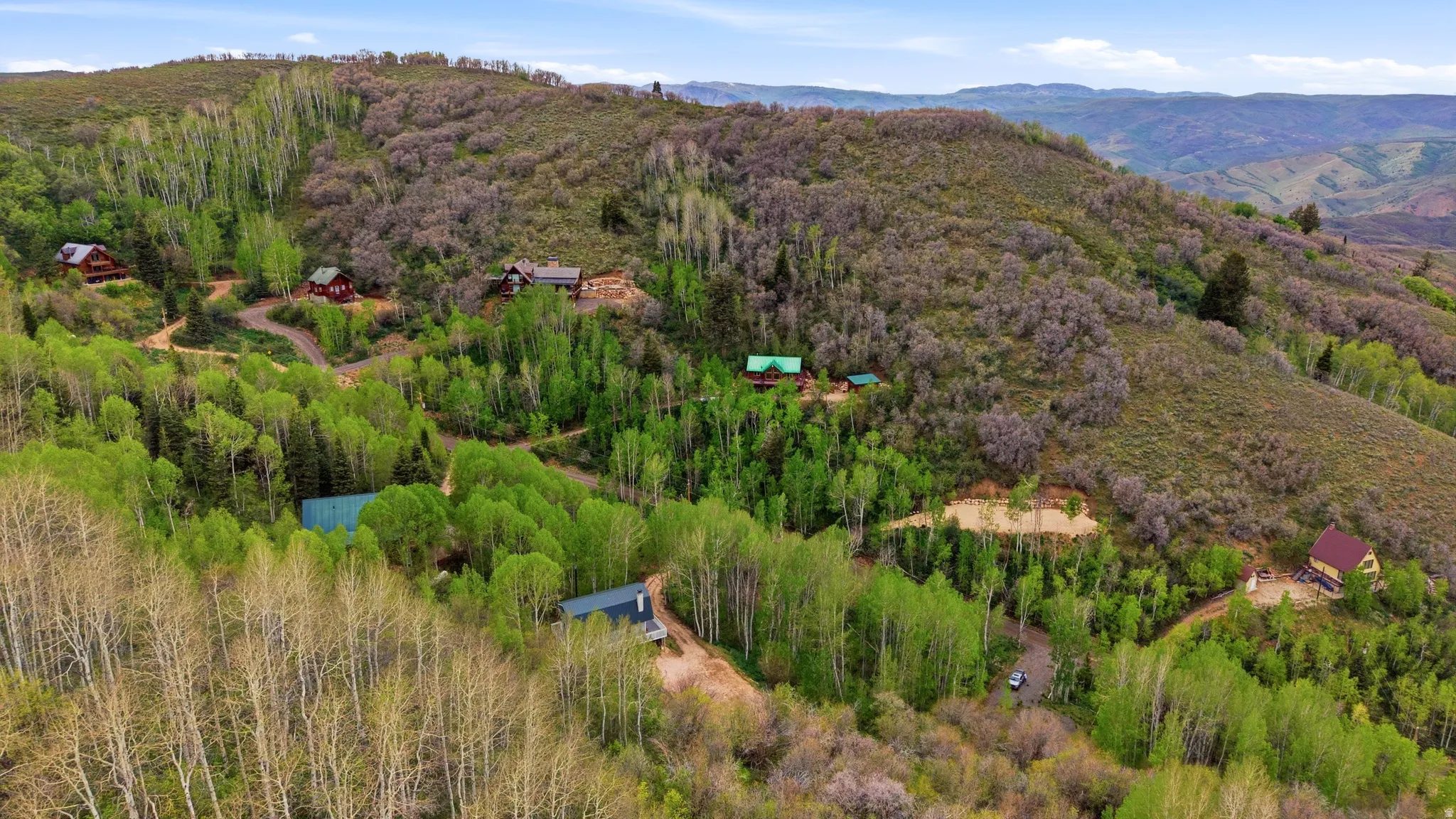 Expansive hillside property featuring multiple residential structures amidst dense, verdant foliage and mature trees
