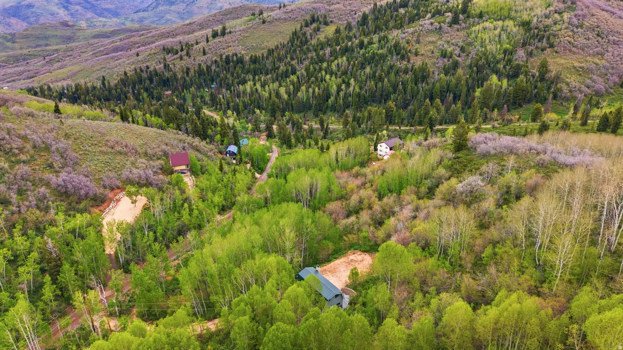 Expansive mountainous landscape featuring dense evergreen and deciduous trees, with multiple clearings and visible structures