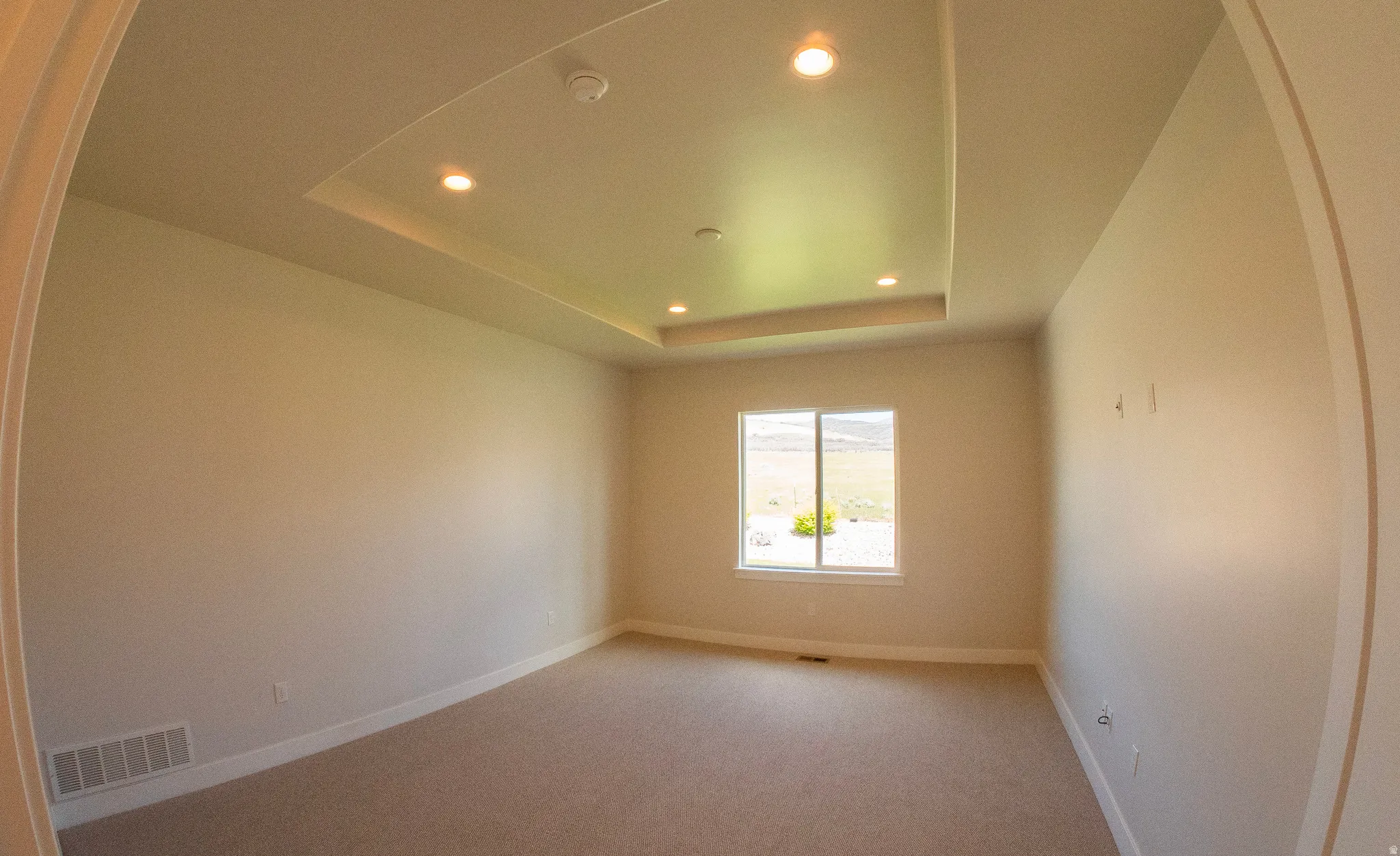 Spacious room featuring a tray ceiling with recessed lighting, light neutral-toned carpeting, a window overlooking a natural landscape, and white baseboards