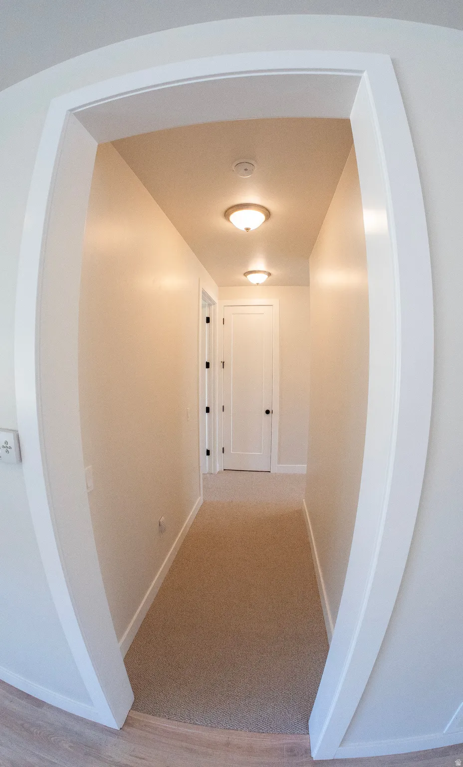 Carpeted hallway with light neutral walls and white trim