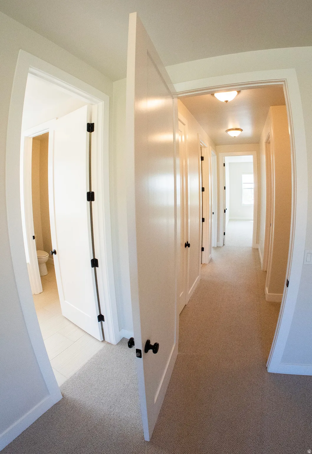 Hallway featuring light beige carpet flooring and white painted doors with matte black hardware