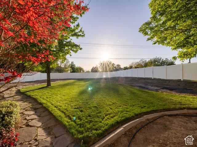 Expansive backyard featuring a lush lawn, established trees including a vibrant red-leafed specimen, a flagstone pathway, and a perimeter vinyl privacy fence