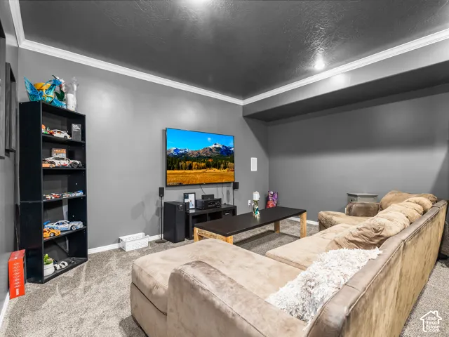 Carpeted media room featuring dark gray walls, a built-in entertainment console, a wall-mounted display, and white crown molding