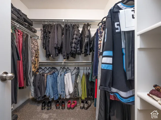 Walk-in closet with carpet flooring, white walls, and built-in shelving and hanging rods