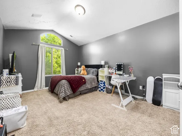 Carpeted room featuring a vaulted ceiling with an arched window, a ceiling light fixture, and dark gray walls