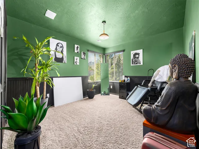 Spacious room featuring textured green walls, black wainscoting, and neutral-toned carpeting