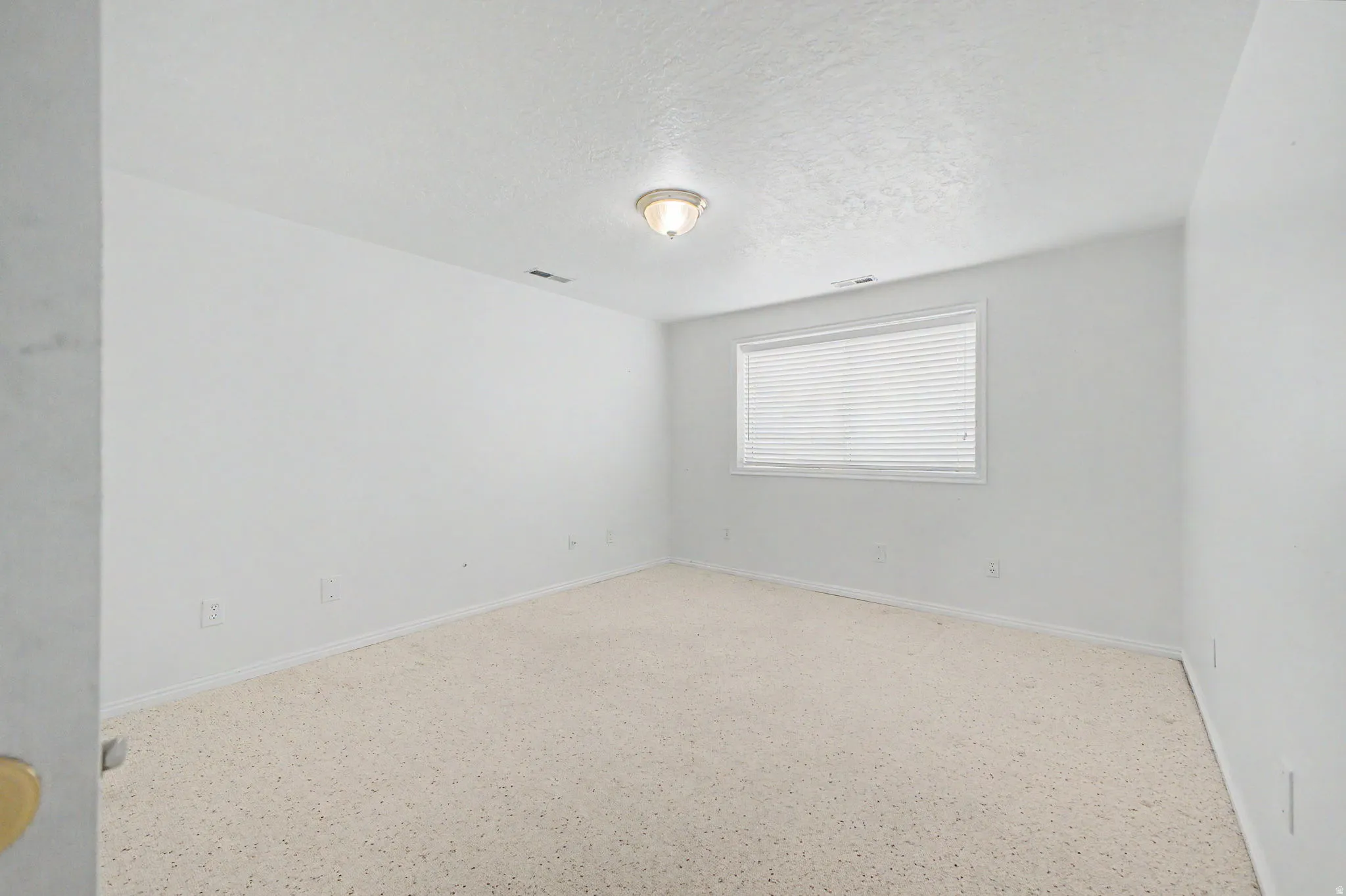 Room featuring light-toned carpeting, white walls, and a single window with blinds