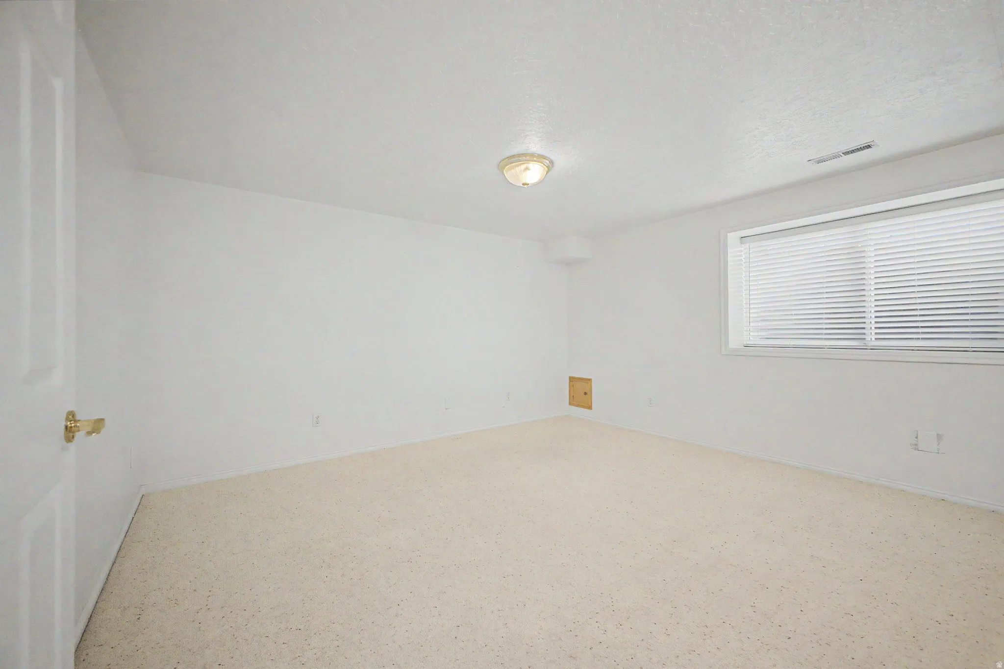 Spacious room featuring neutral carpet flooring, white painted walls, and a ceiling-mounted light fixture