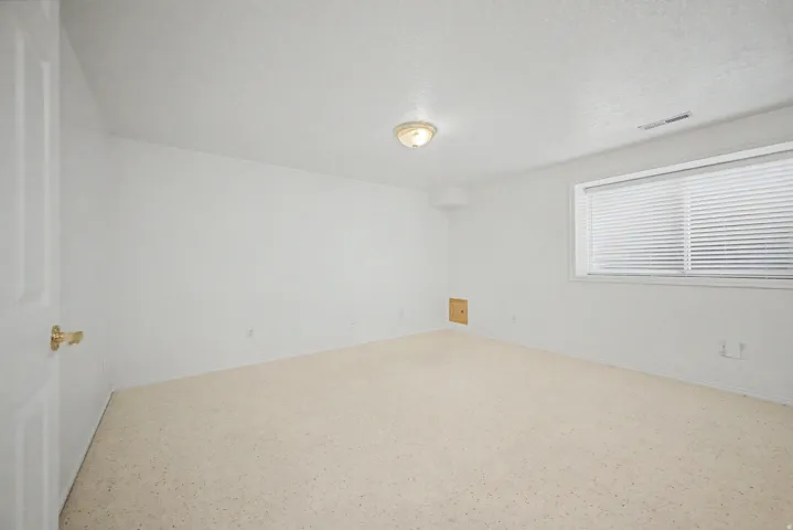 Spacious room featuring neutral carpet flooring, white painted walls, and a ceiling-mounted light fixture