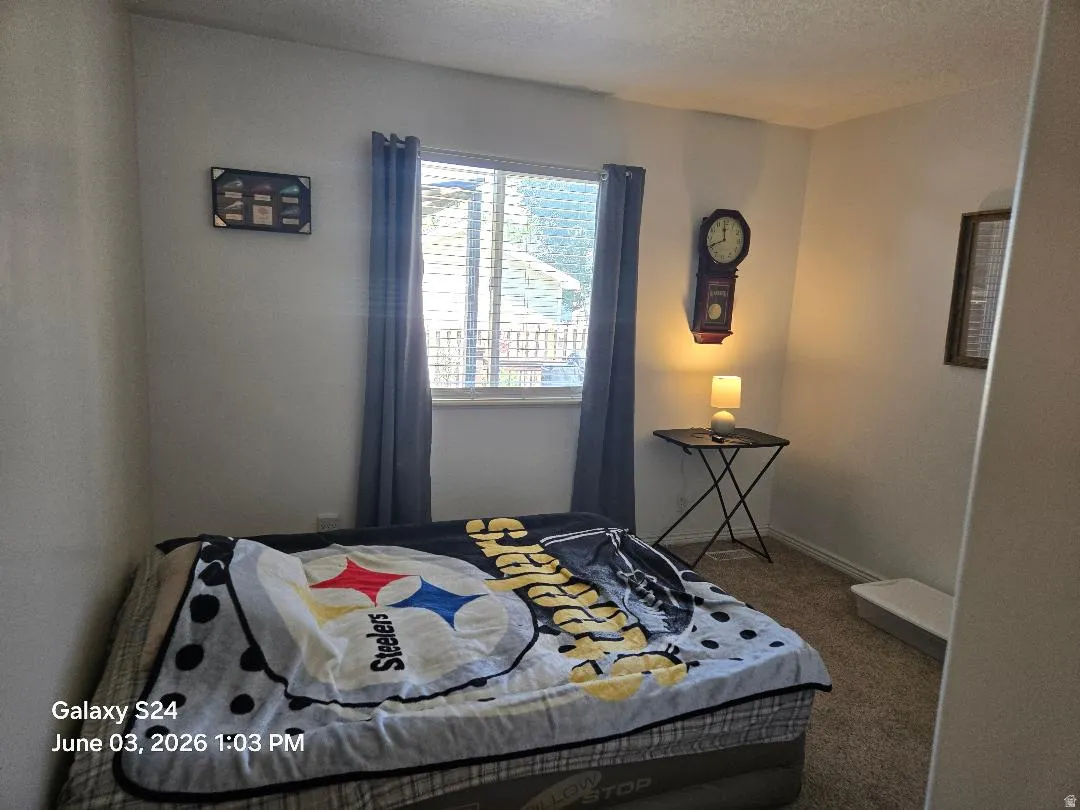 Carpeted room featuring a double-hung window with privacy blinds and drapes
