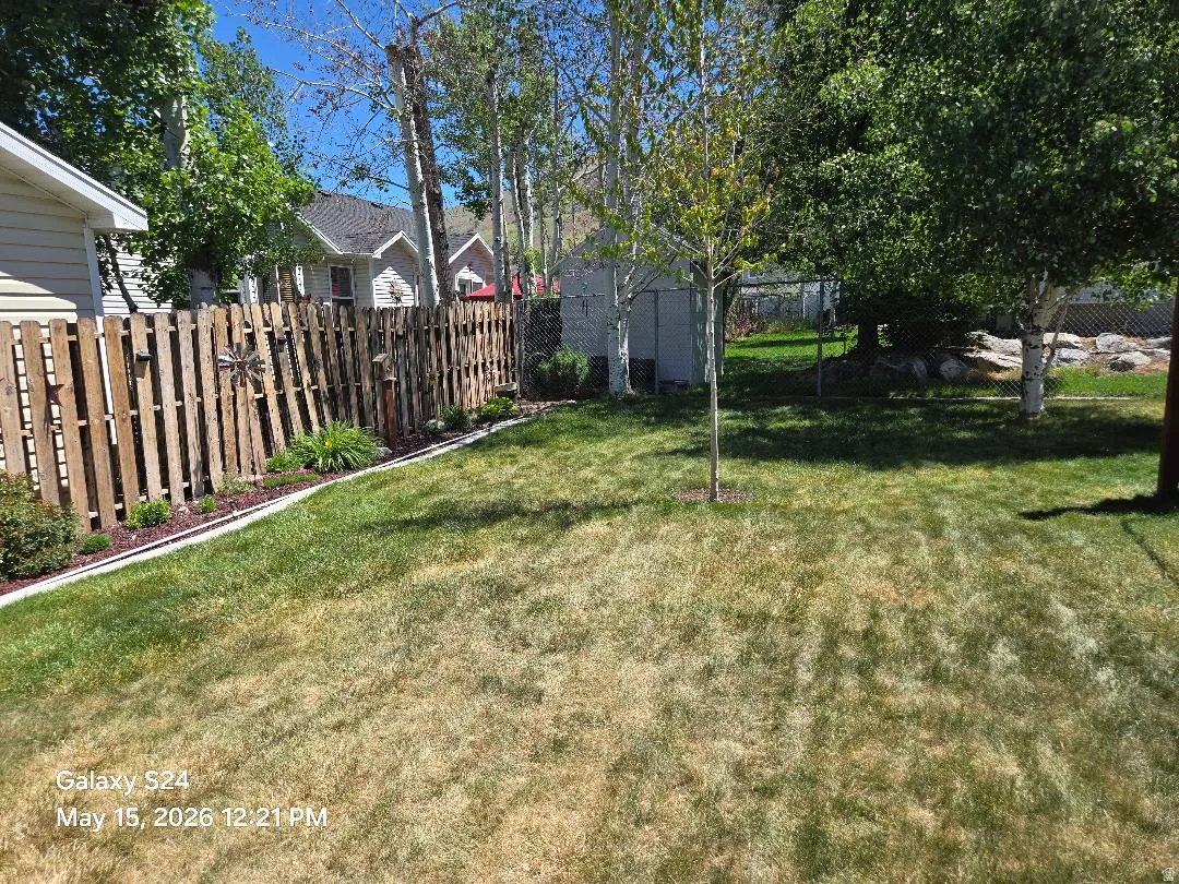 Expansive grassy yard featuring mature trees, a wooden privacy fence, and defined landscaping beds with mulch