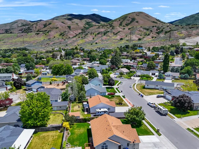 Aerial perspective showcasing a residential neighborhood with varied architectural styles and mature landscaping