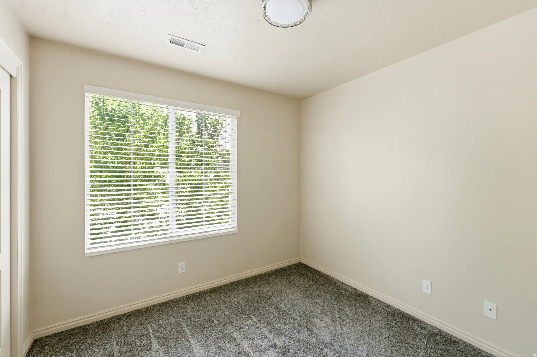 Guest bedRoom featuring a large window with horizontal blinds, neutral wall paint, and gray textured carpet
