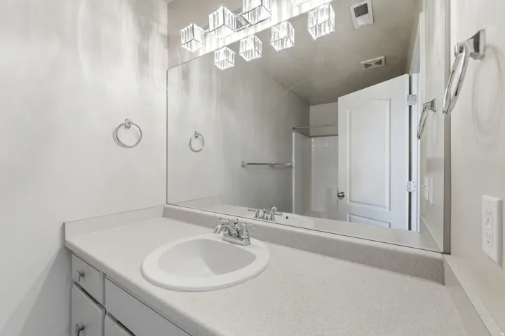 Primary Bathroom vanity featuring a single basin sink set into a light-toned countertop, framed by a large wall-mounted mirror