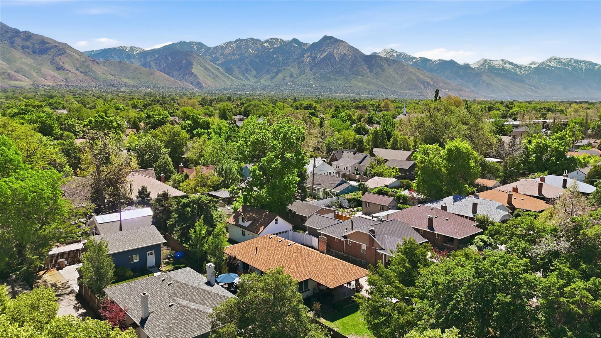 Aerial perspective showcasing a residential area with mature trees and diverse roofing styles, set against a backdrop of distant mountains