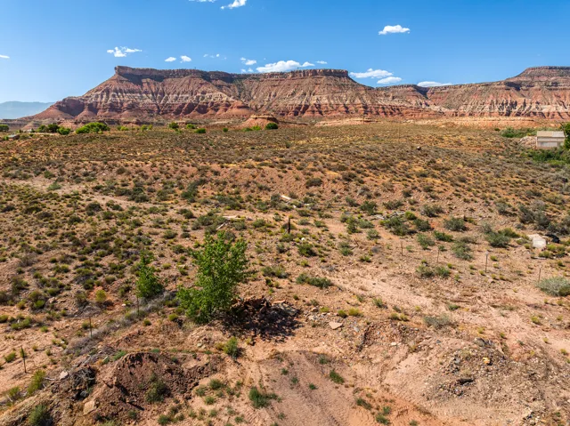 Expansive desert landscape with natural vegetation and distant mesa formations