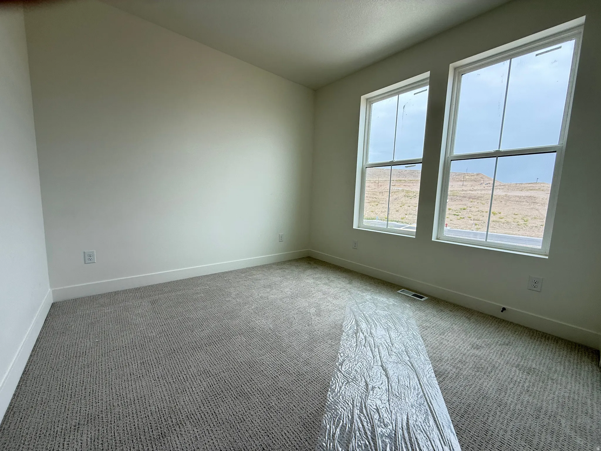 Carpeted room featuring dual windows, white baseboards, and neutral wall tones