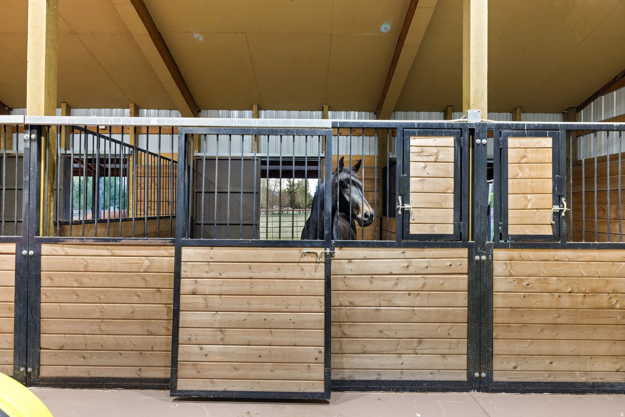 View of horse barn