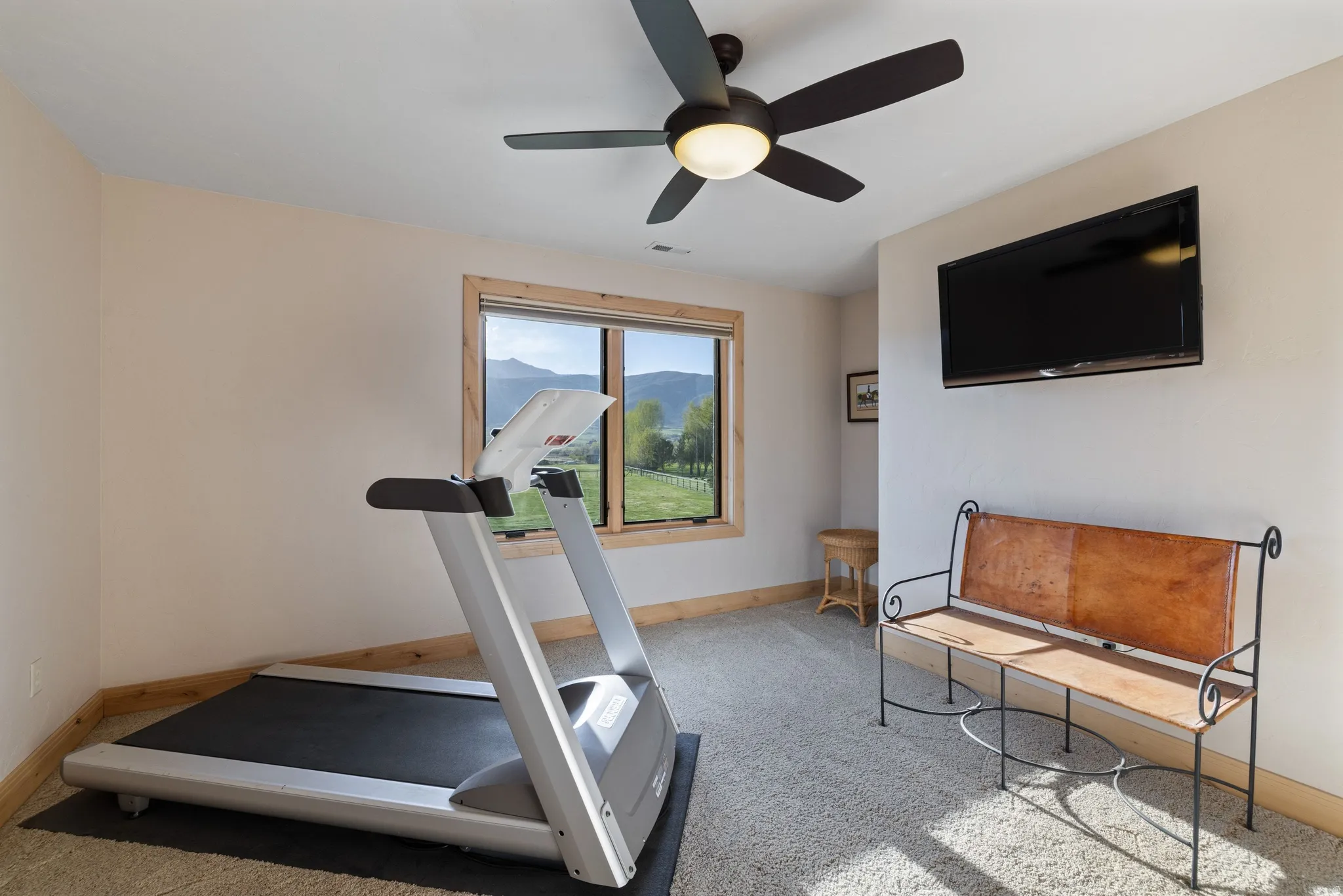 Workout room with light carpet and a ceiling fan