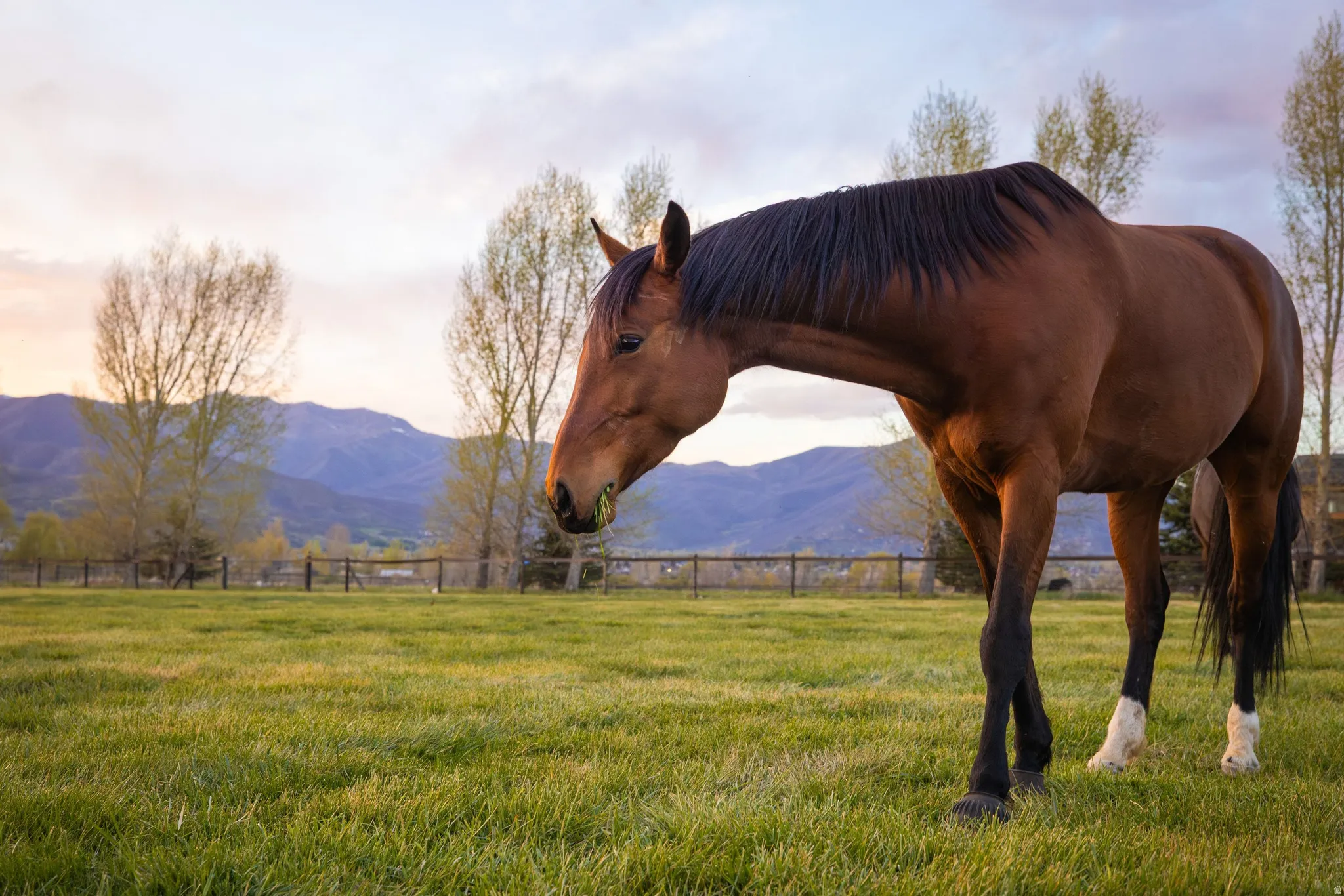 Stable with a mountain view