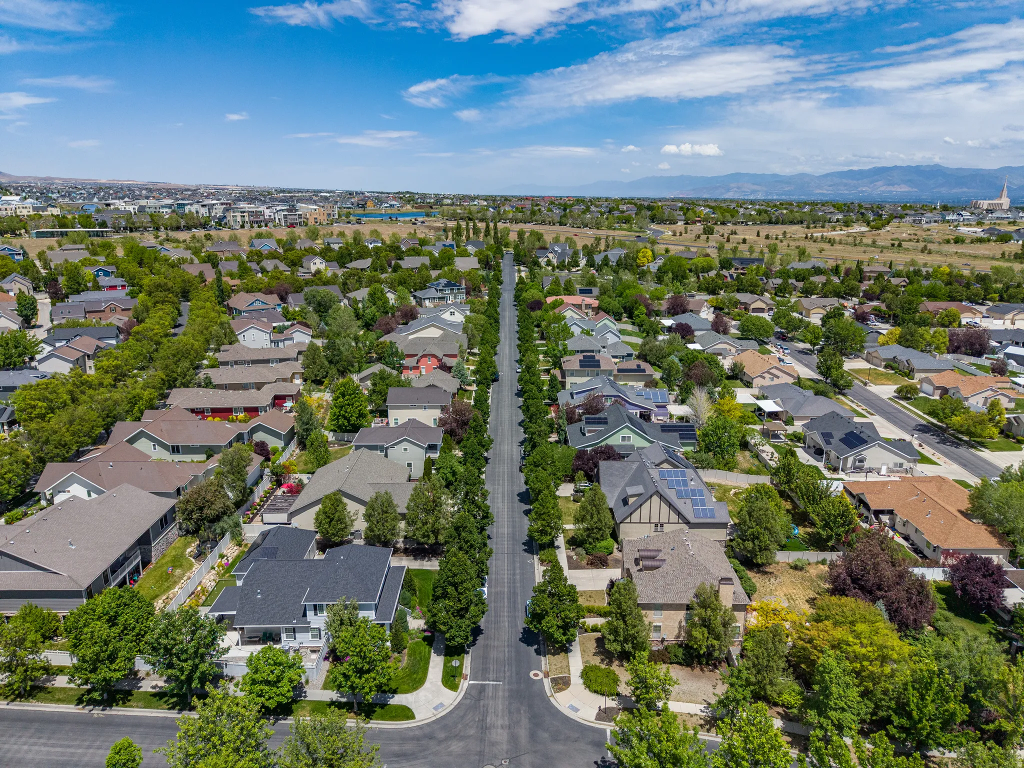 Aerial perspective showcasing a residential street lined with mature trees