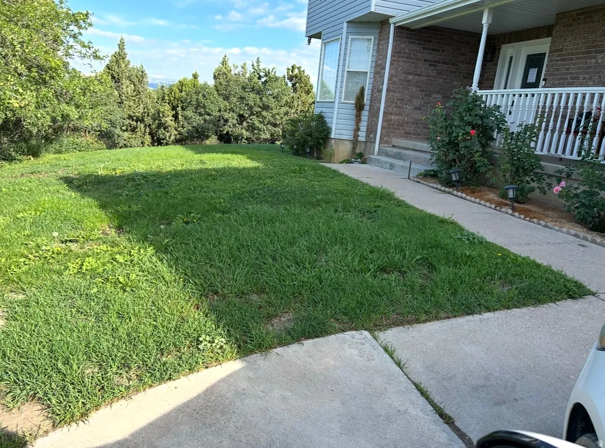 Front yard with concrete walkway and established landscaping