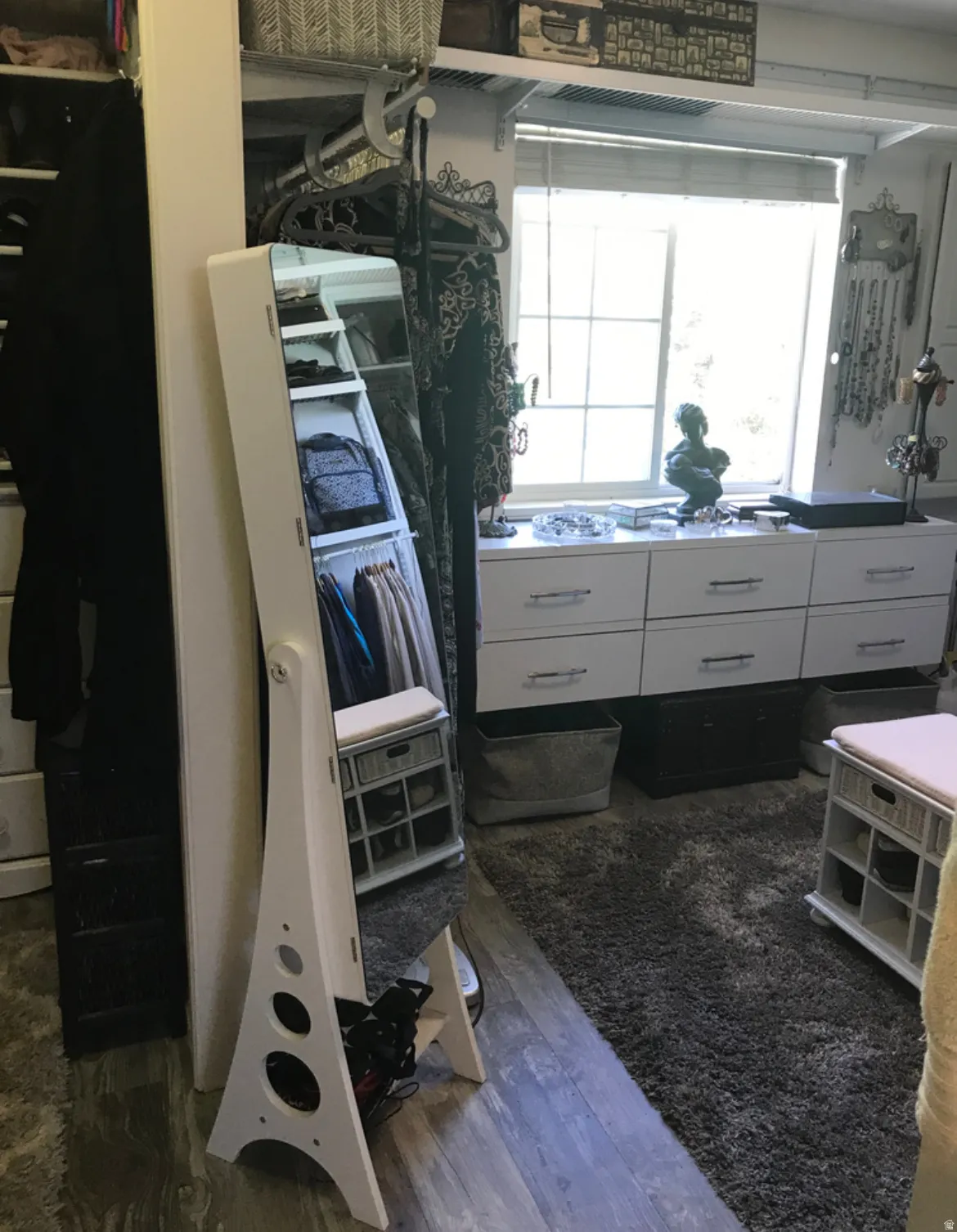 Integrated storage solutions featuring a window with natural light, wood-finish flooring, and a plush area rug